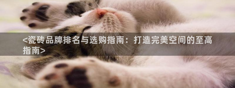 杏鑫官方平台怎么样啊
