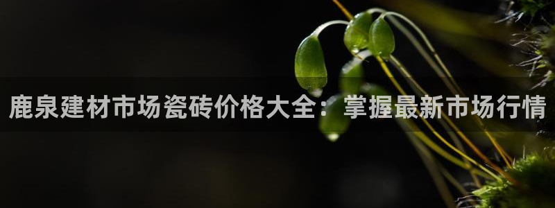 杏鑫娱乐平台