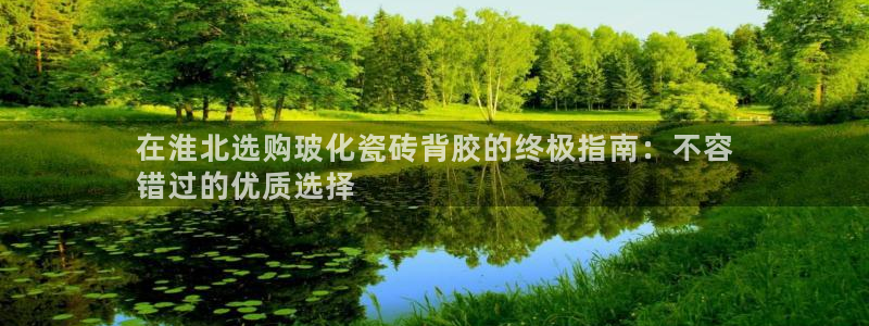 杏鑫主管