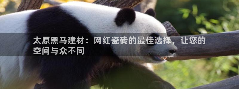 杏鑫平台注册网址查询