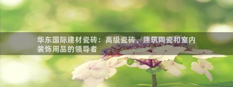 杏鑫平台野马联盟怎么样