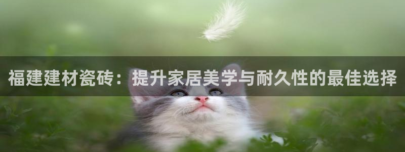 杏鑫平台是黑平台吗