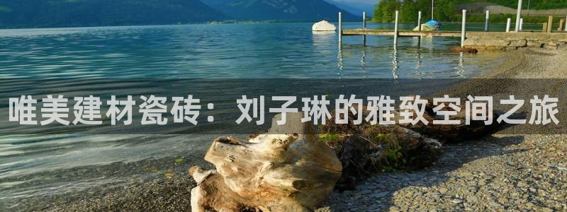 杏鑫平台测速