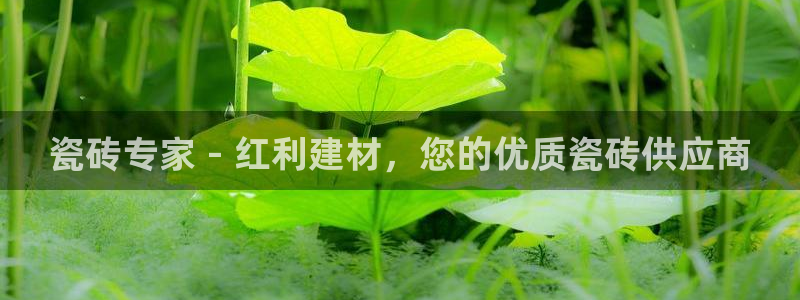 杏鑫娱乐平台测速怎么样
