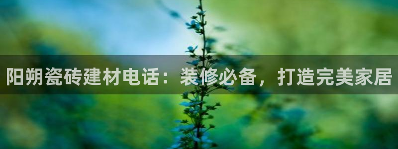 杏鑫平台正规吗是真的吗