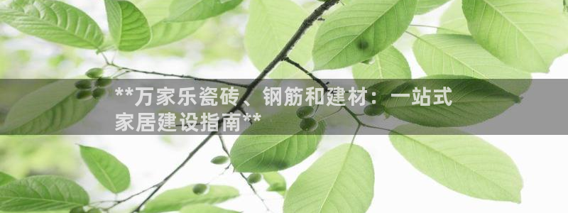 杏鑫平台怎么样
