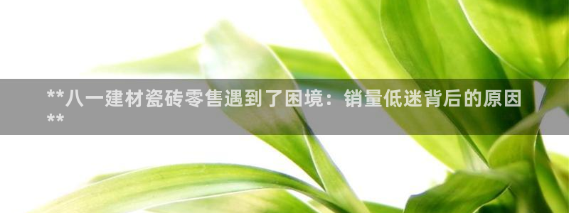 杏鑫有亏损返点吗