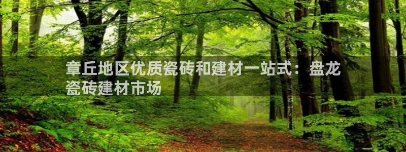 杏鑫官网注册账号是什么样的