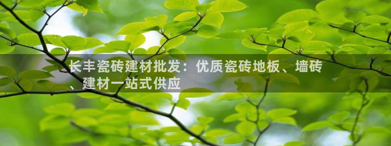杏鑫招商总代
