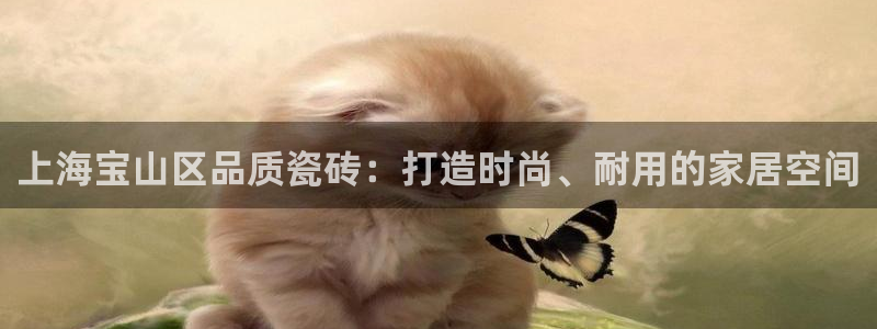 杏鑫平台代理
