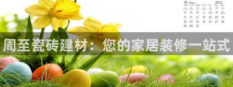 杏鑫官方平台怎么样