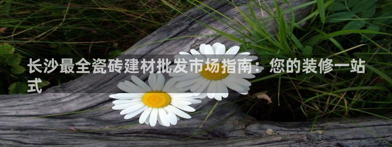 杏鑫官网