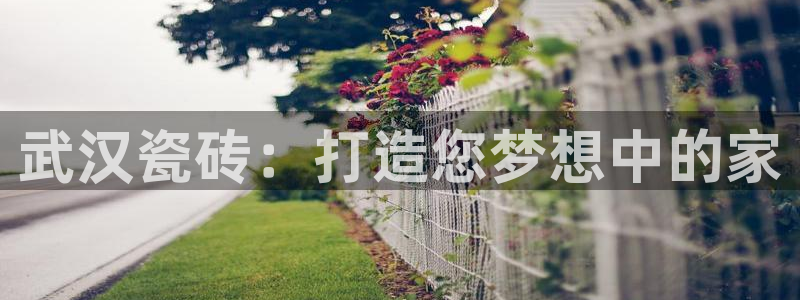 杏鑫官网最新信息新闻