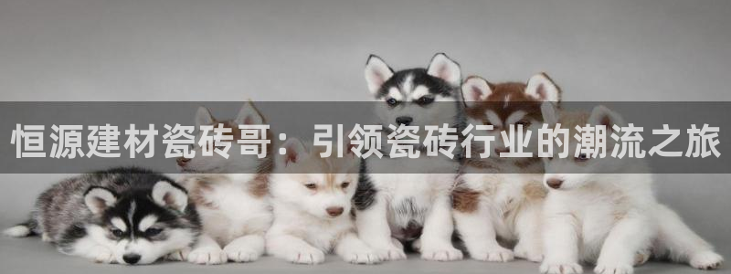 杏鑫娱乐官网首页