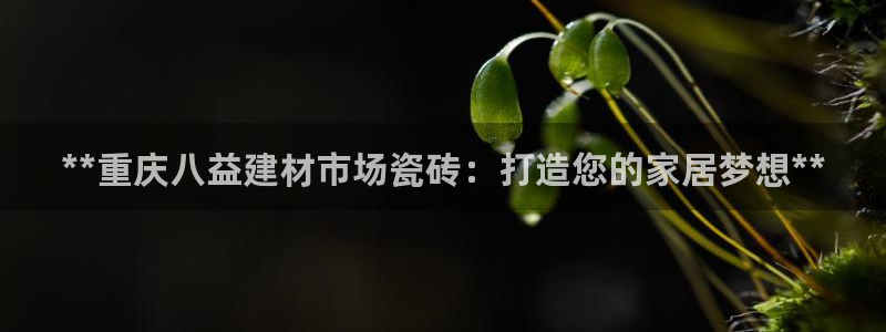 杏鑫平台待遇
