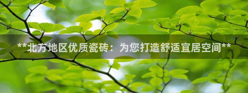 杏鑫娱乐平台登录注册网站