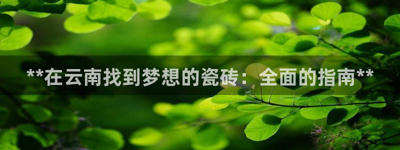 杏鑫官网注册账号密码是什么