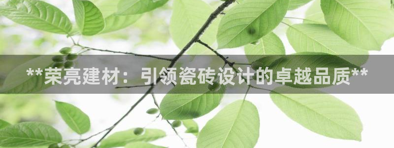 杏鑫平台直属