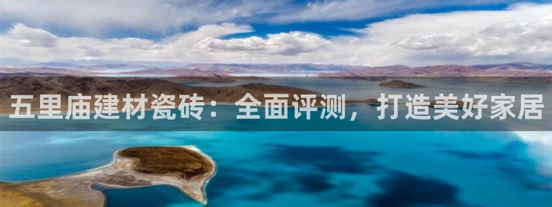 杏鑫3主管