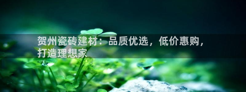 杏鑫平台是黑平台吗知乎