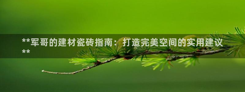 杏鑫平台代理注册流程及费用