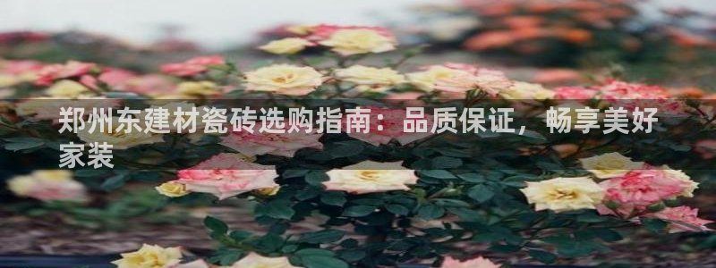 杏鑫手机客户端