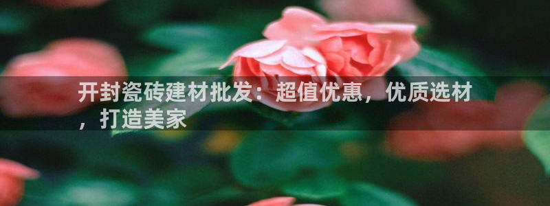 杏鑫注册登录代理