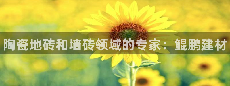 杏鑫代理注册登录