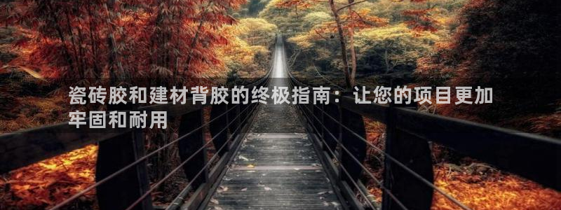 杏鑫平台是黑平台吗