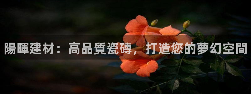杏鑫平台招商电话
