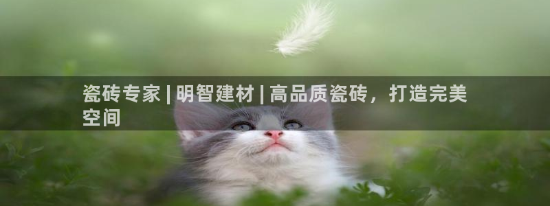 杏鑫平台怎么样知乎