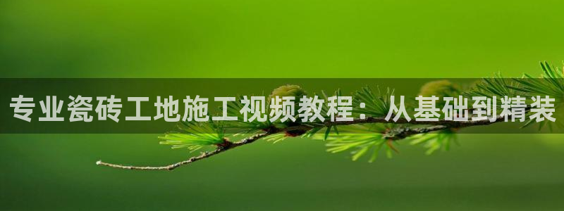 杏鑫注册平台官方网站是什么