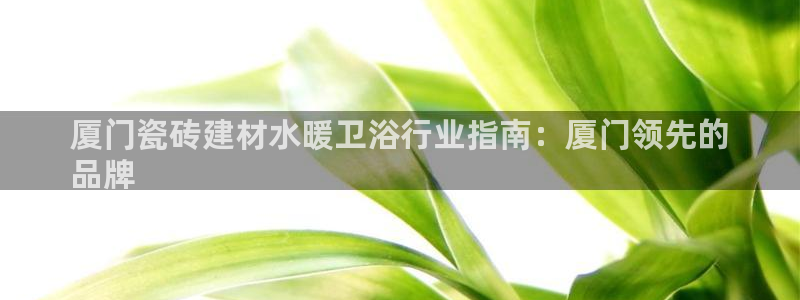 杏鑫平台招商电话号码是多少
