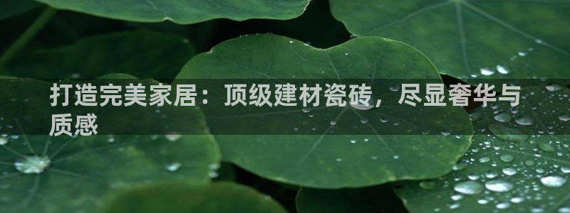 杏鑫平台代理注册多少钱一个