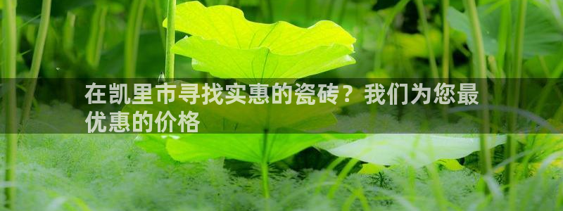 杏鑫娱乐平台登录注册网站