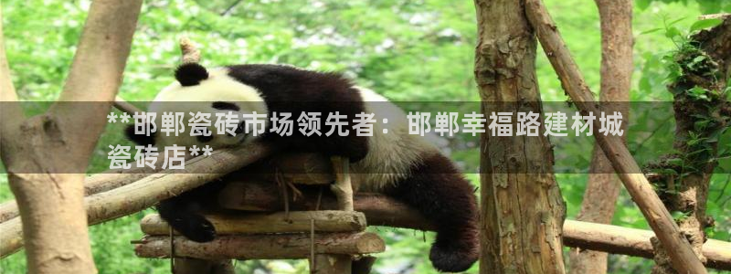 杏鑫平台代理注册登录不了怎么办呀视频