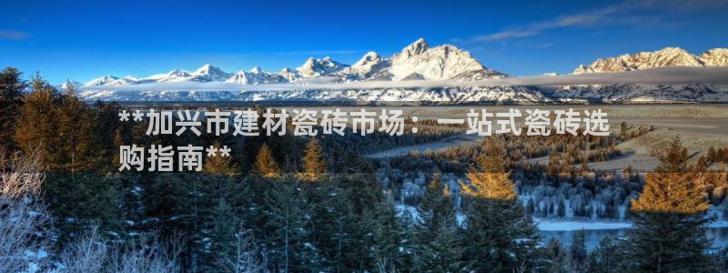 杏鑫娱乐官网