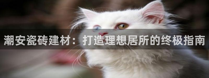 杏鑫平台平台娱乐怎么样