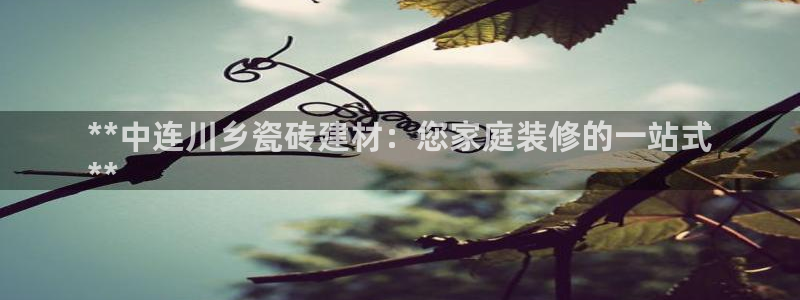 杏鑫平台代理怎么样啊