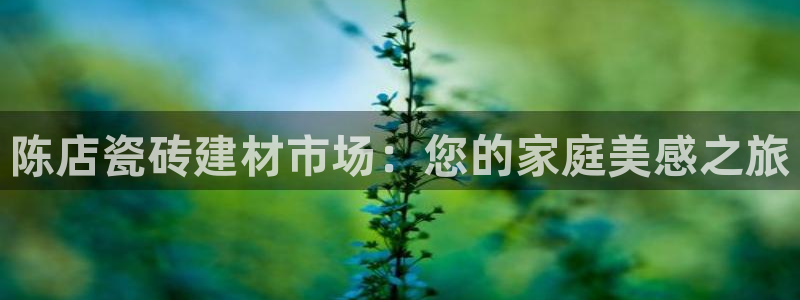 杏鑫平台野马联盟怎么样