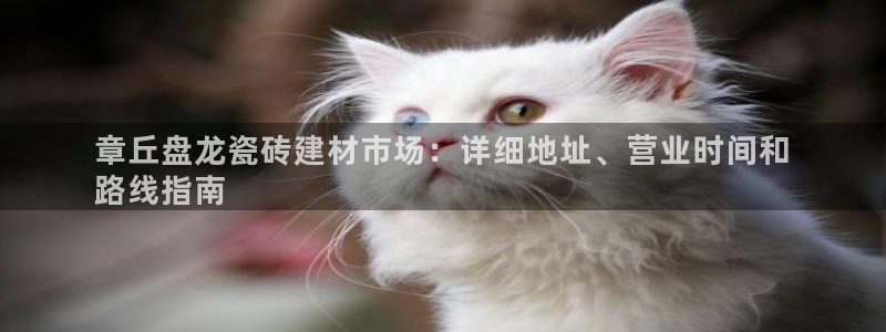 杏鑫娱乐多少年了