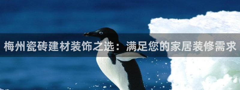 杏鑫3主管