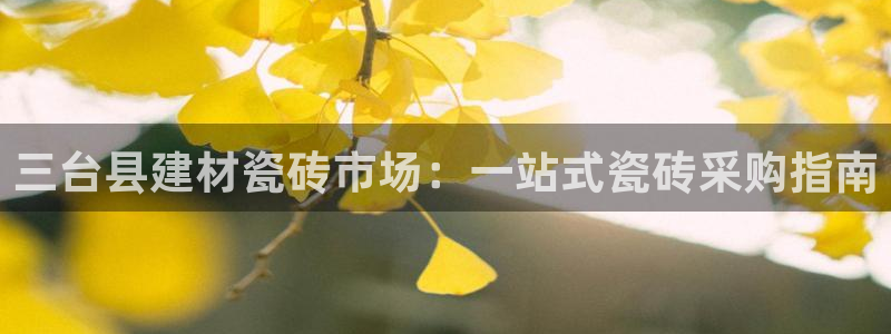 杏鑫手机客户端怎么下载