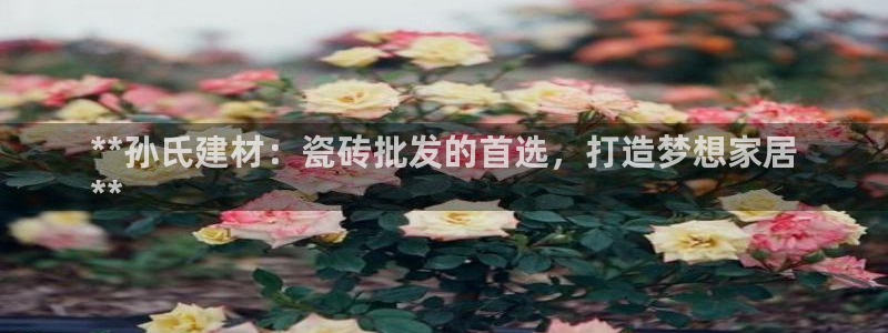 杏鑫平台线路测速