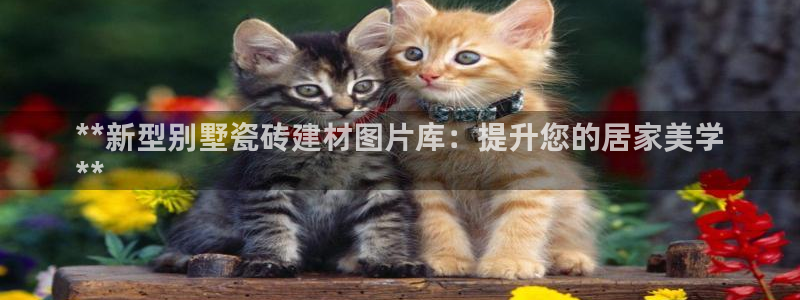 杏鑫娱乐-官方网站