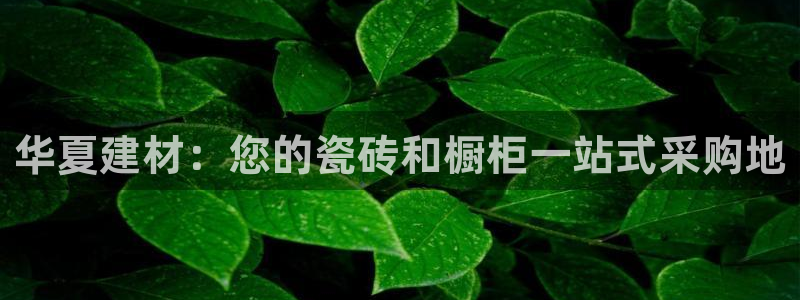 杏鑫平台怎么样