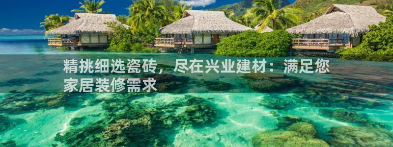 杏鑫平台招商
