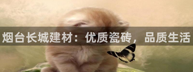 杏鑫手机客户端怎么下载