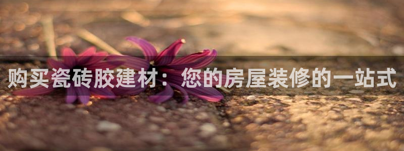 杏鑫平台注册网址查询