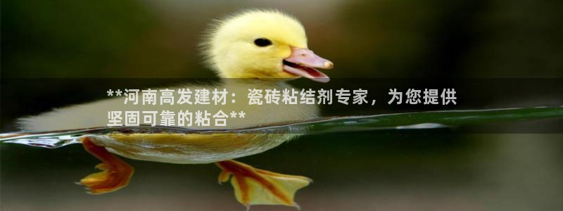 杏鑫注册登录网